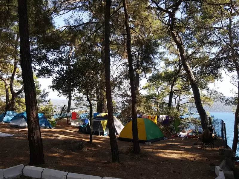 Campo forestale di Gökova