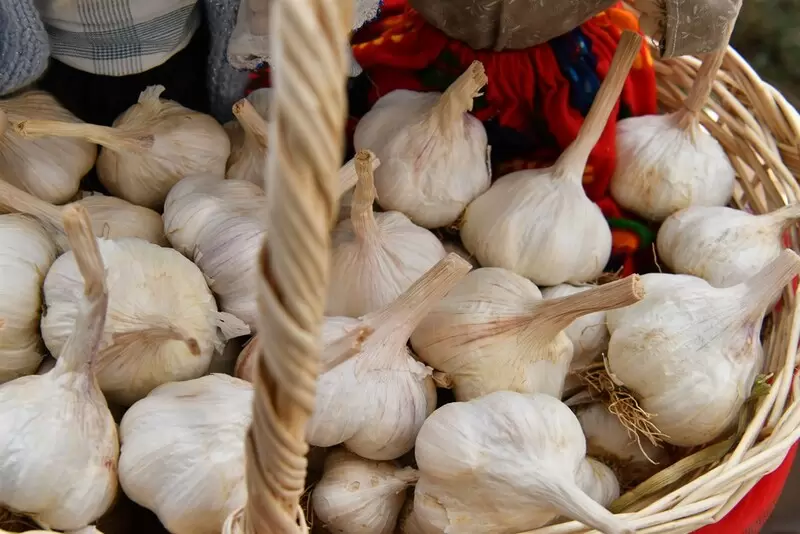 ゲレンドスト チャルティ ガーリック