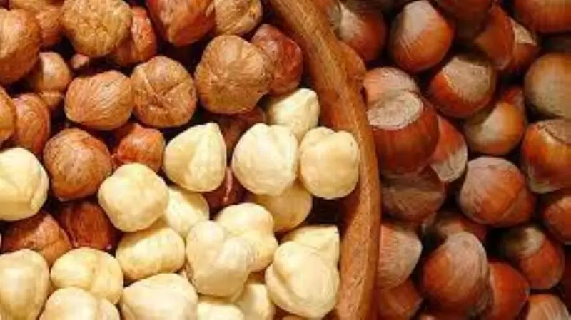 Akçakoca Yellow Hazelnut