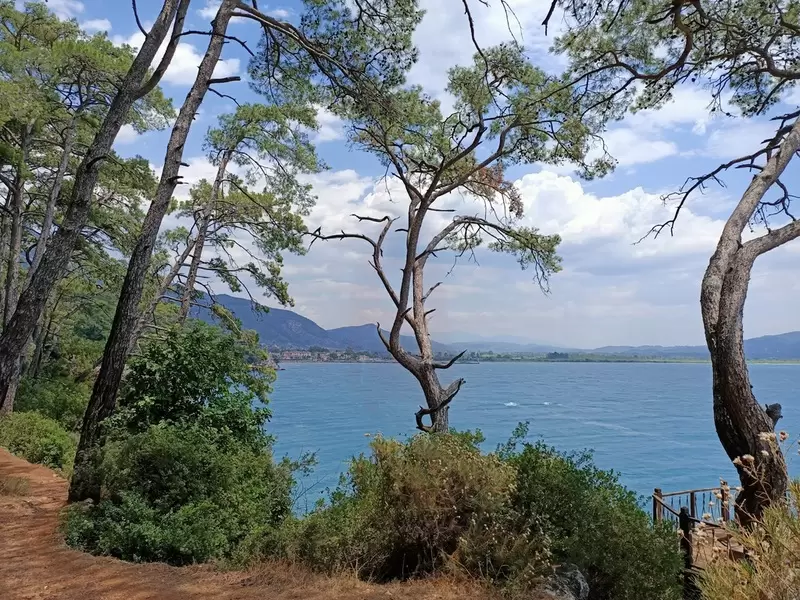 Лесной лагерь Акьяка