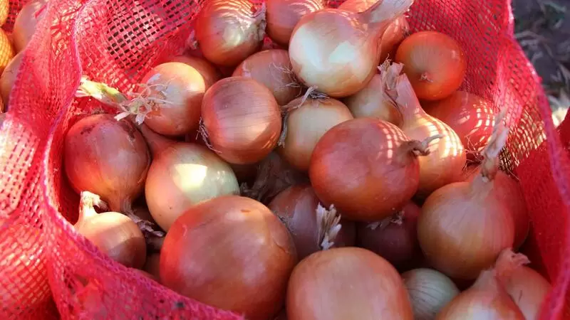 スルオバオニオン