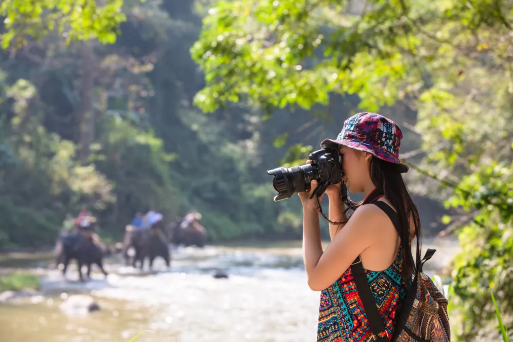Wildlife Photography Tours