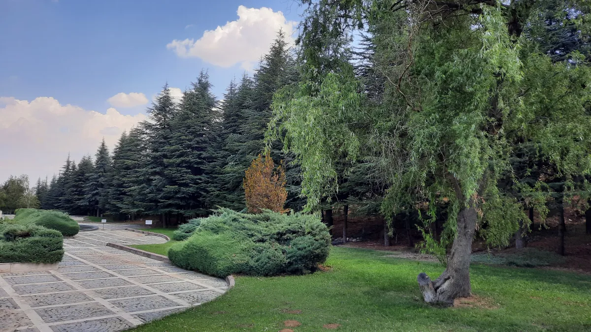 Bilkent Odeon