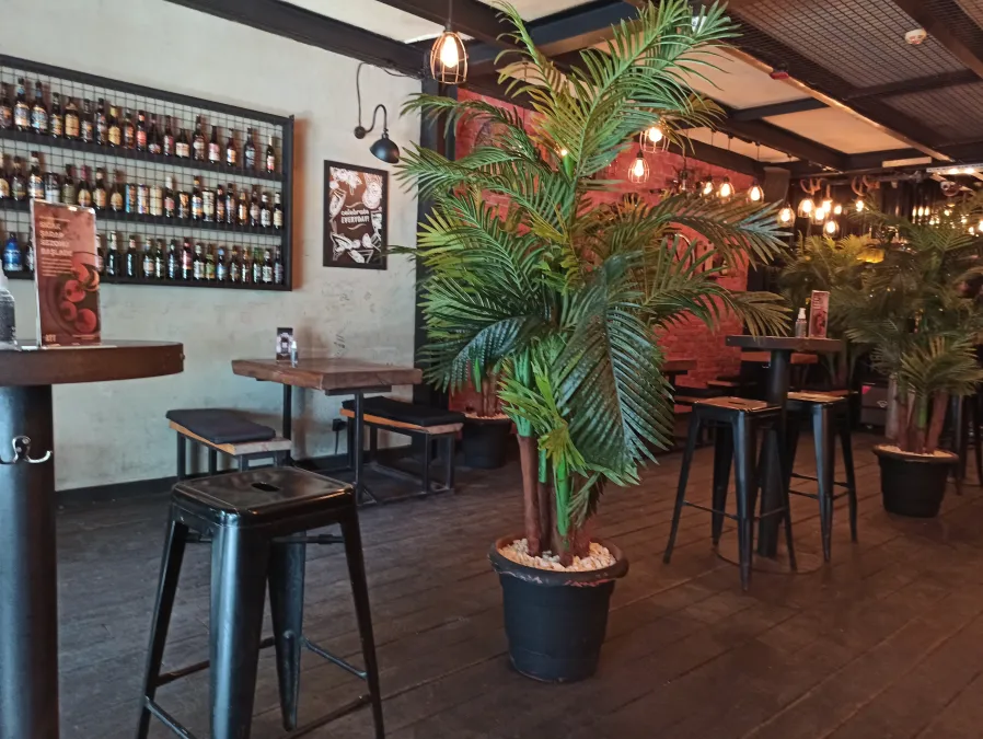 Ayı Pub & Disko Rıhtım Kadıköy