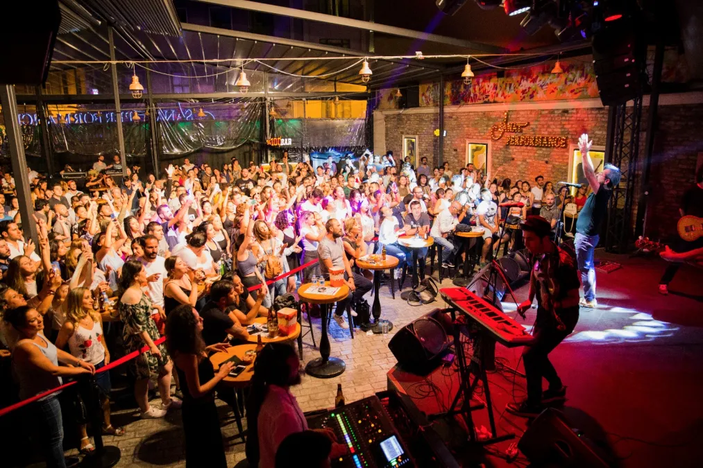 Sanat Performance