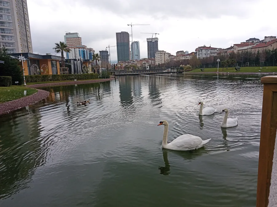 Sahne Dragos