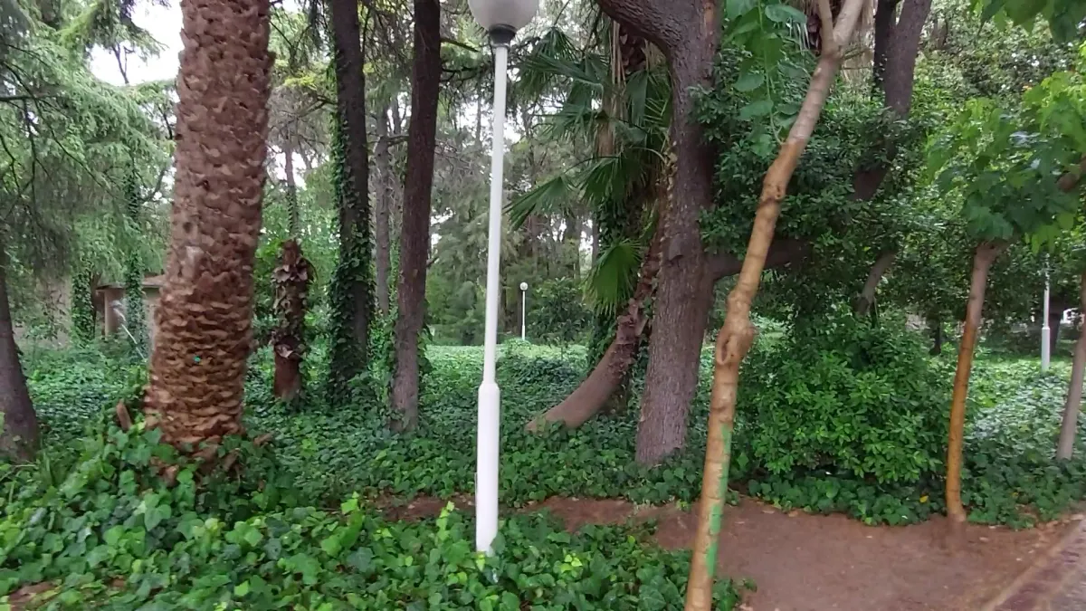 İzmir Kültürpark Open Air Theatre